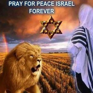 Meet your Posher, Veymar